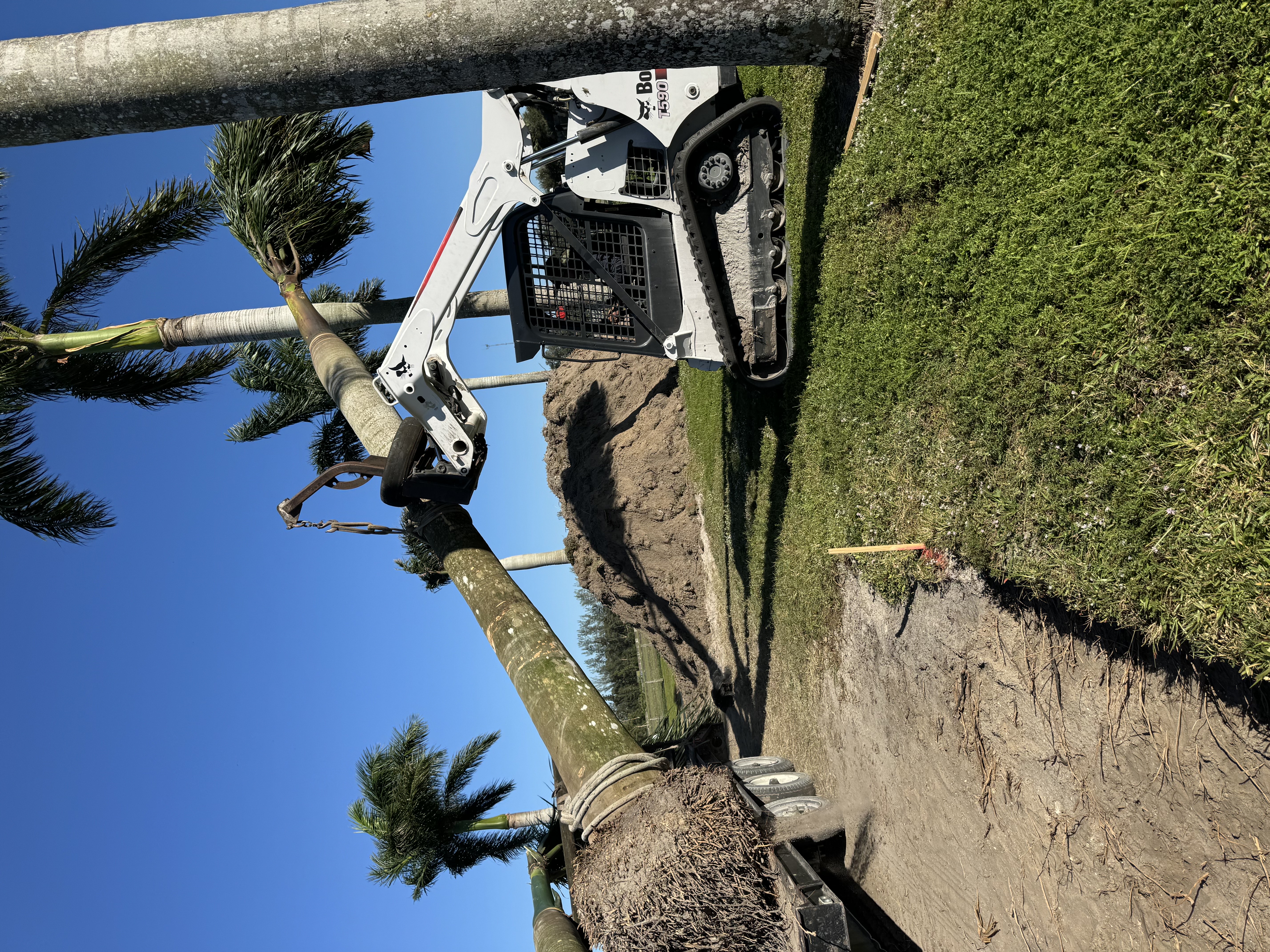 Bobcat Service Image 1